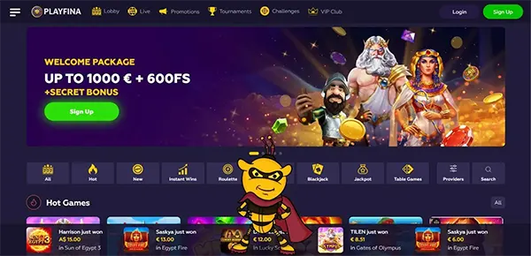 Playfina user dashboard
